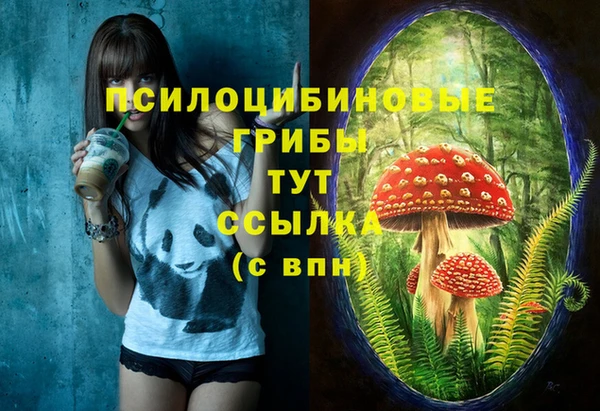 ешки Липки
