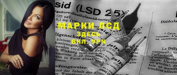 индика Лиски