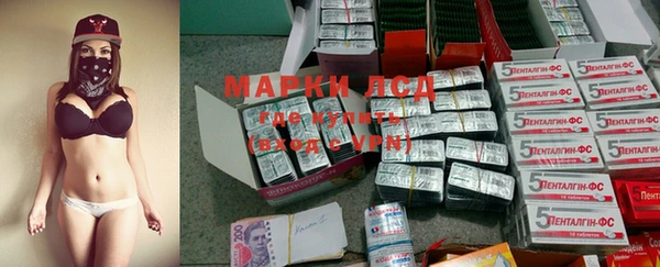 индика Лиски