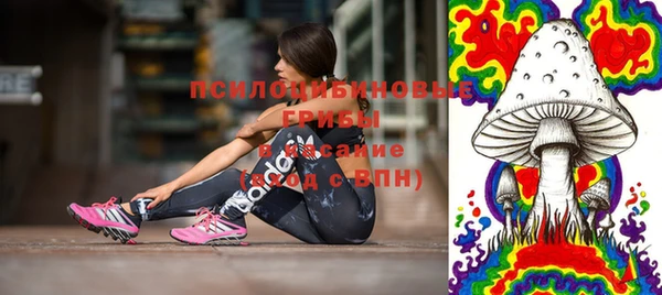ешки Липки