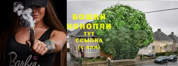 индика Лиски