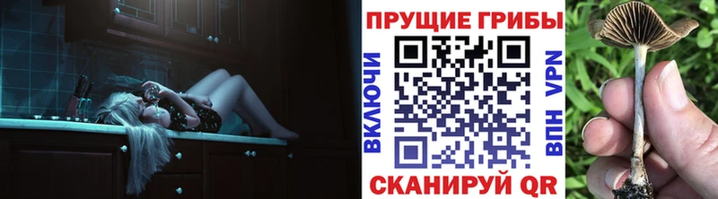 omg сайт Зарайск Псилоцибиновые грибы GOLDEN TEACHER